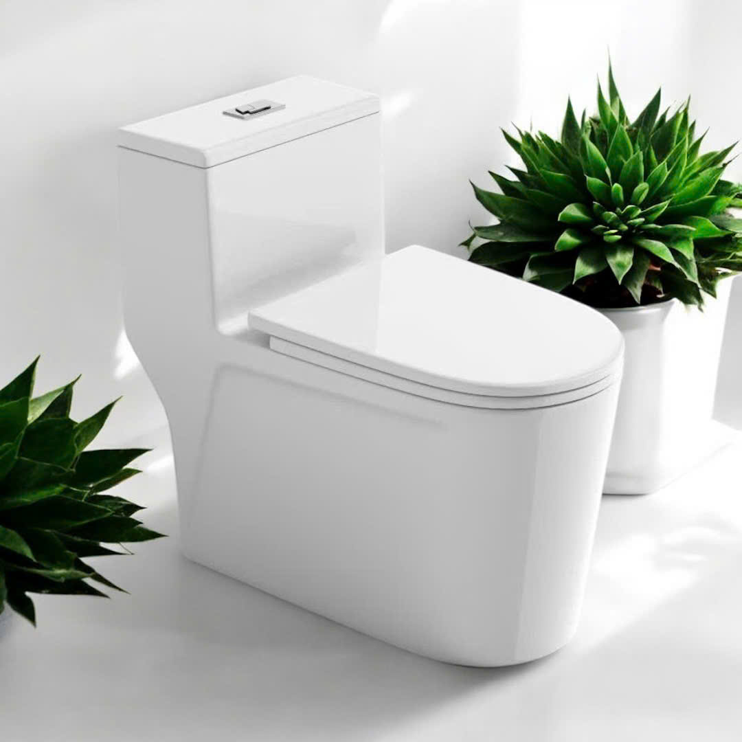 Bồn Cầu Khối MS - 849