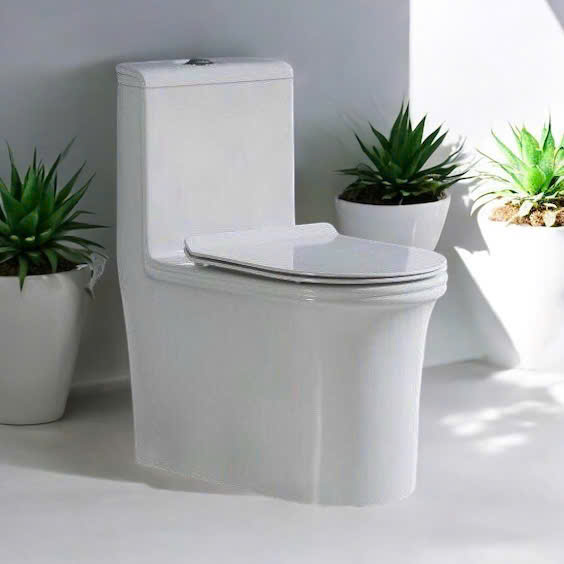 Bồn Cầu Liền Khối MS - 803